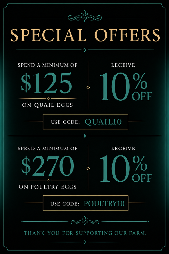 Hatching egg sale